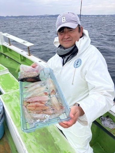 マルイカ(ケンサキイカ)