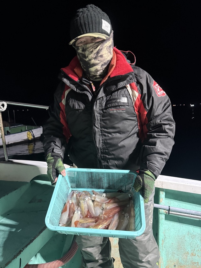 マルイカ(ケンサキイカ)