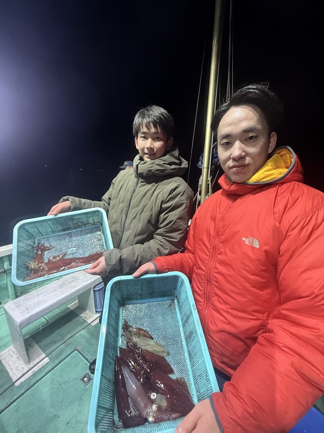 マルイカ(ケンサキイカ)