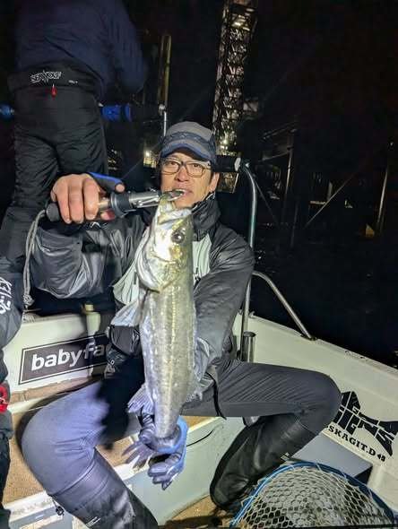 シーバス(スズキ)