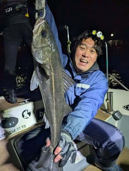 シーバス(スズキ)