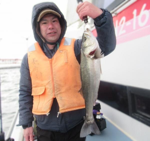 シーバス(スズキ)