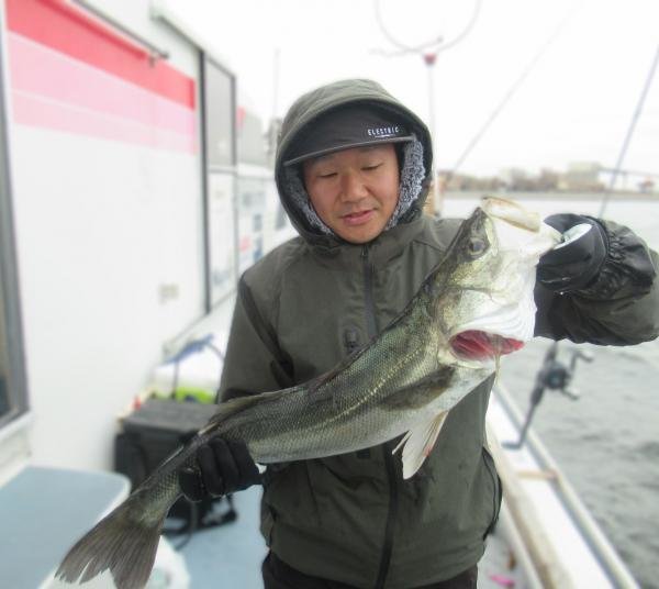 シーバス(スズキ)