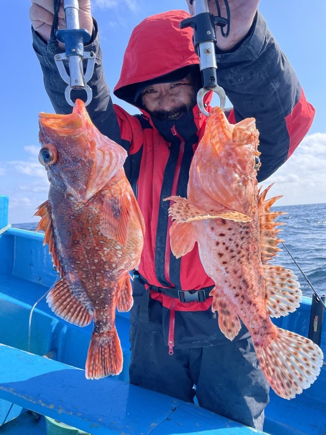 オニカサゴ・ウッカリカサゴ