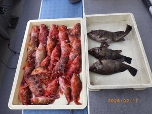 カサゴ・メバル