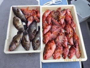 カサゴ・メバル