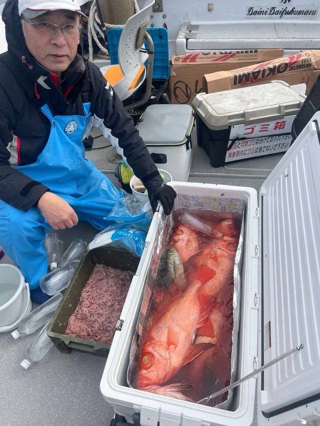 チカメ(チカメキントキ)