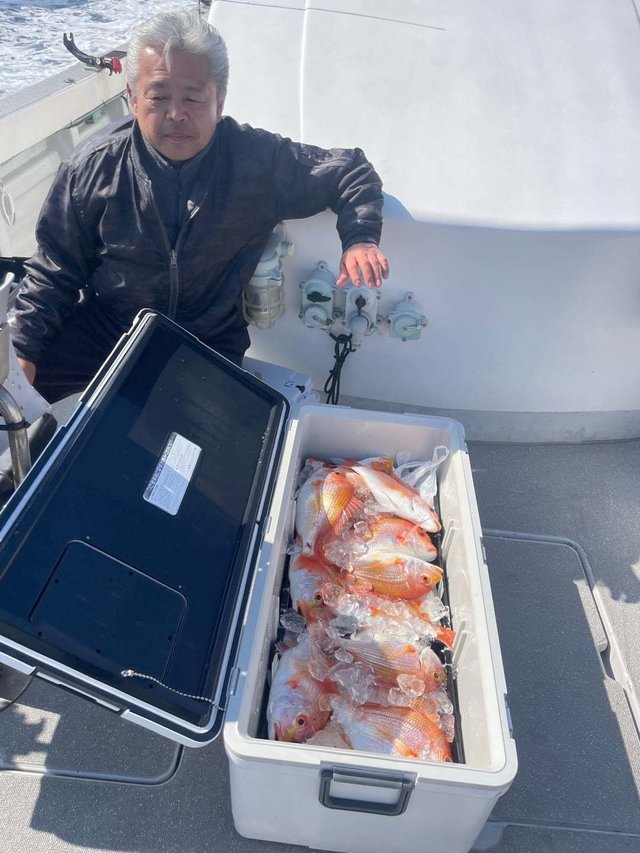 レンコ(キダイ)