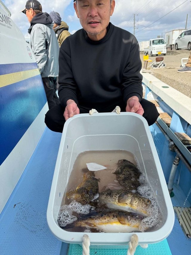 ショウサイフグ