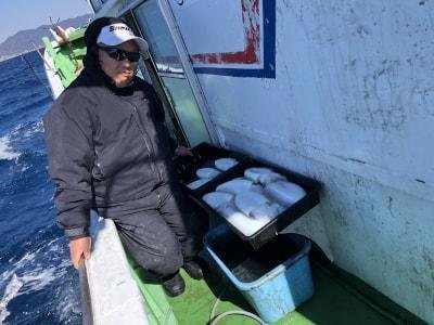 モンゴウイカ(カミナリイカ)