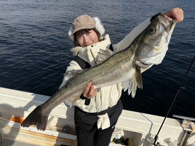 シーバス(スズキ)