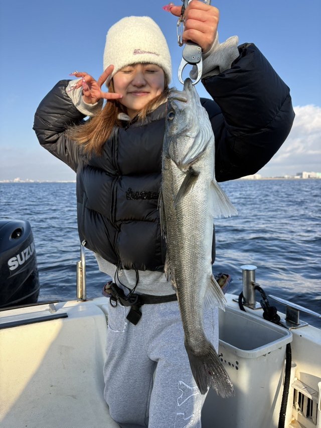 シーバス(スズキ)