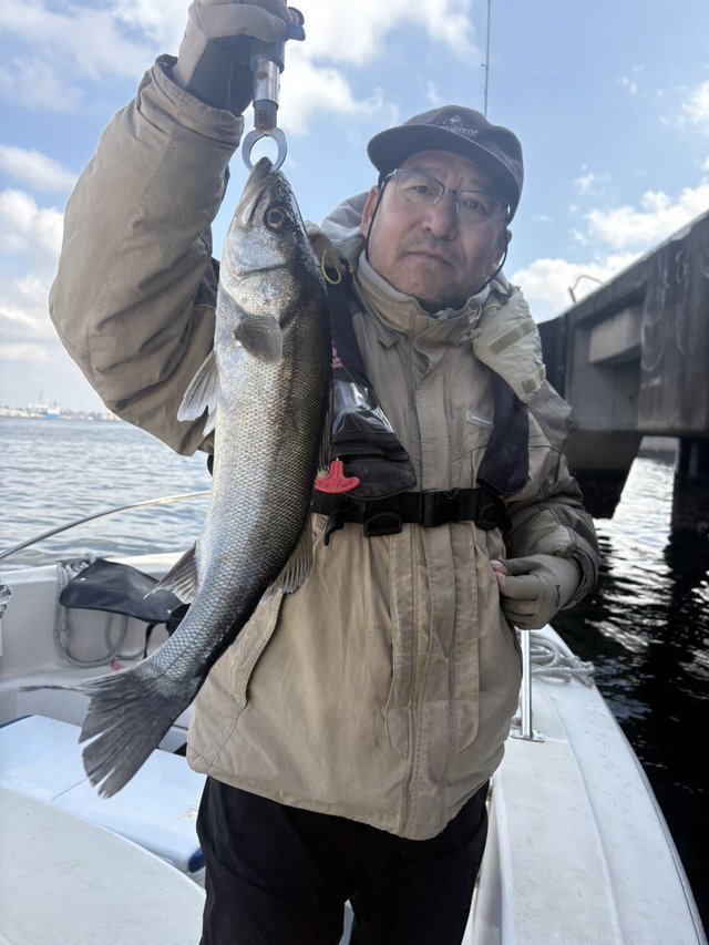 シーバス(スズキ)