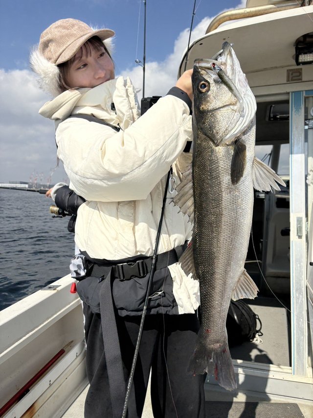 シーバス(スズキ)