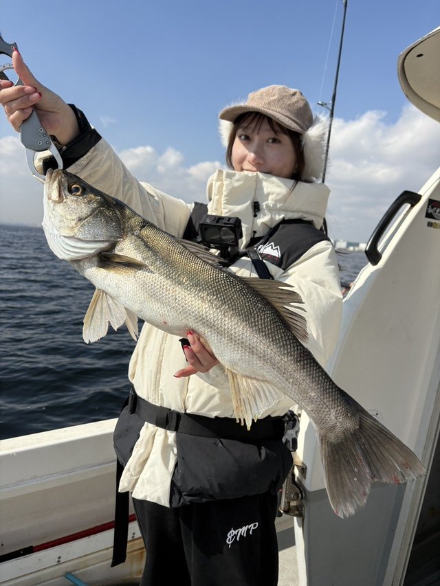 シーバス(スズキ)