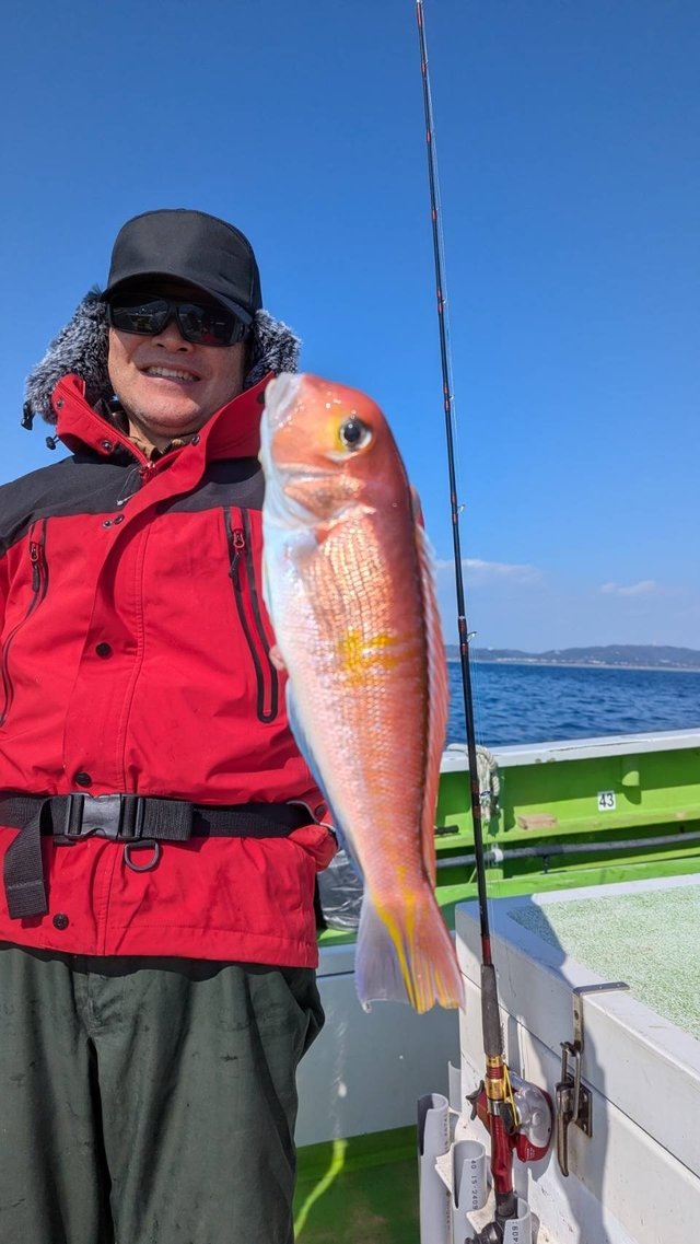 アマダイ(アカアマダイ)