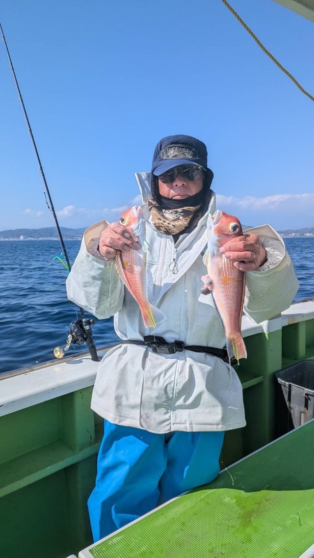 アマダイ(アカアマダイ)