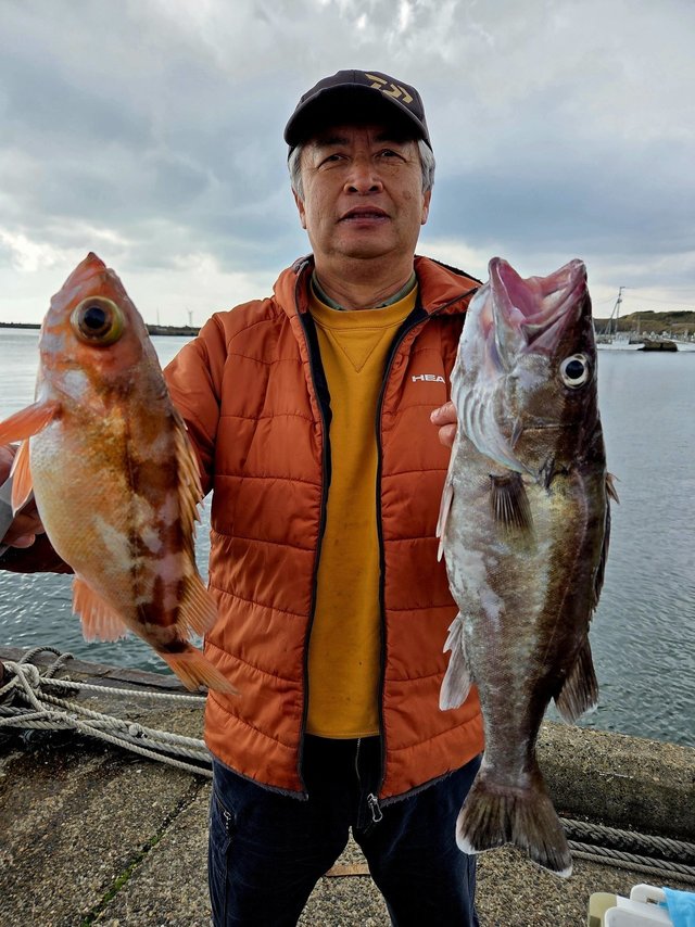 オキメバル(ウスメバル)