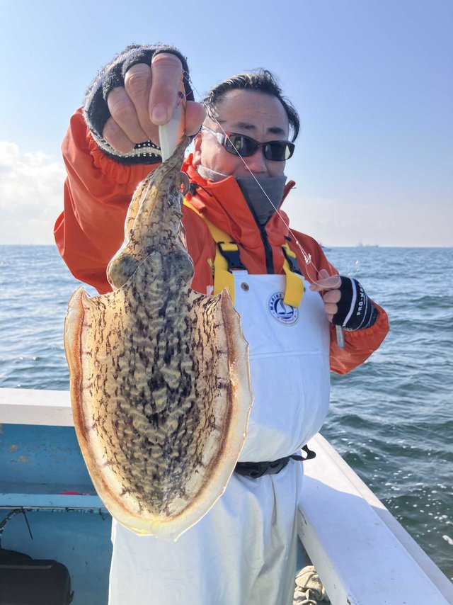 スミイカ(コウイカ)