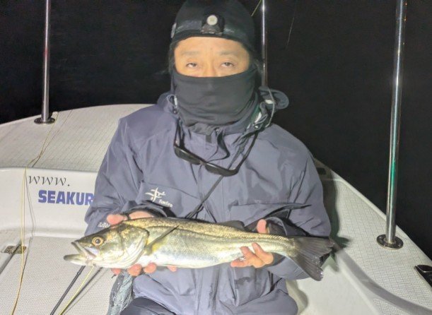 シーバス(スズキ)