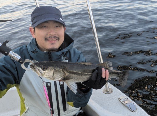 シーバス(スズキ)