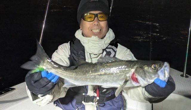 シーバス(スズキ)