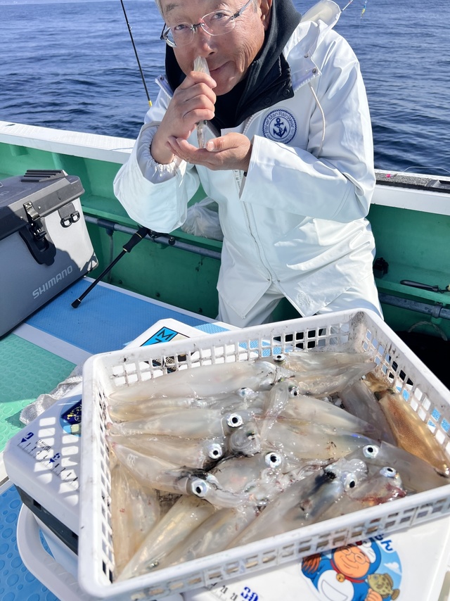 マルイカ(ケンサキイカ)