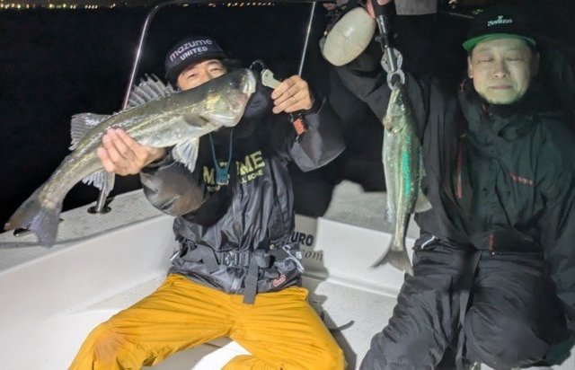 シーバス(スズキ)