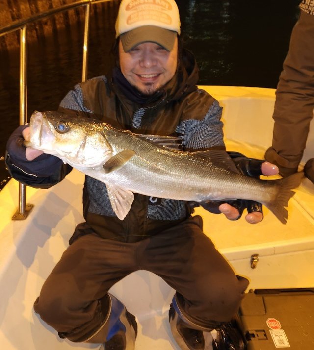 シーバス(スズキ)