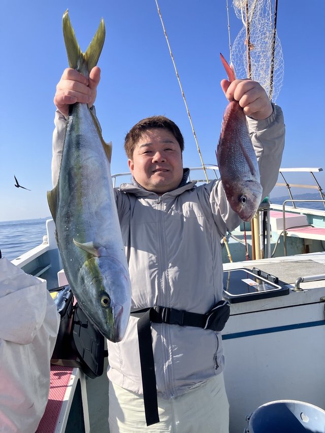 マダイ・ワラサ(ブリ)