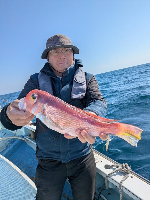 アマダイ(アカアマダイ)