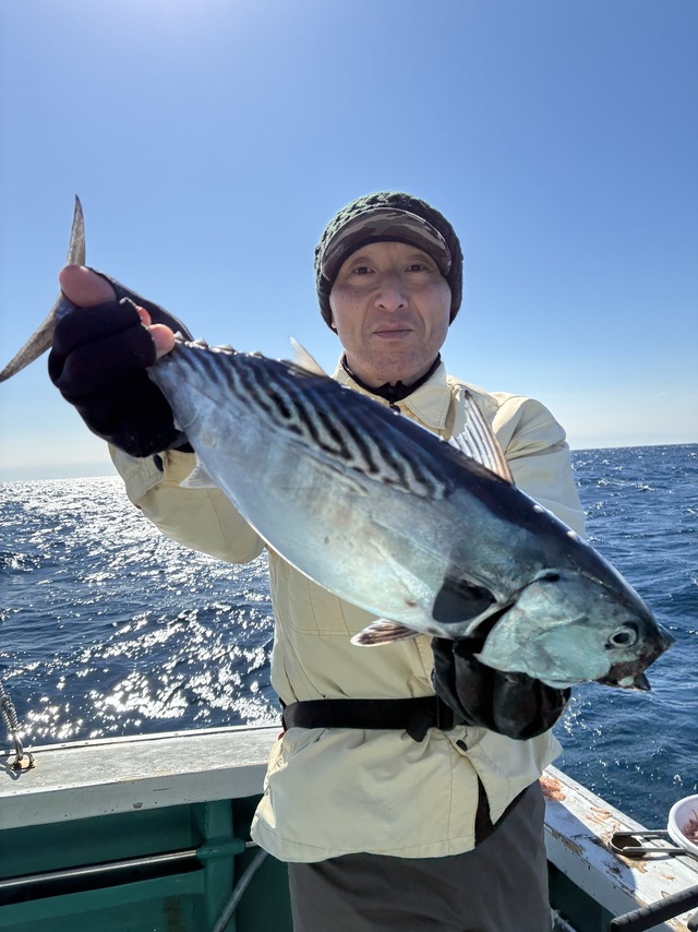 ヤイトガツオ(スマ)