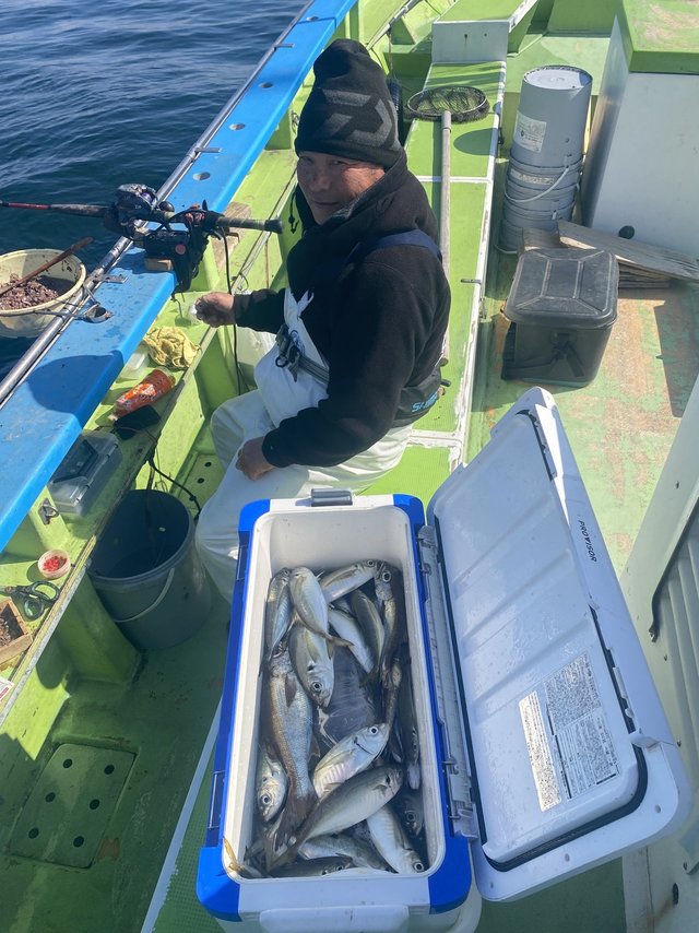 アジ(マアジ)・クロムツ