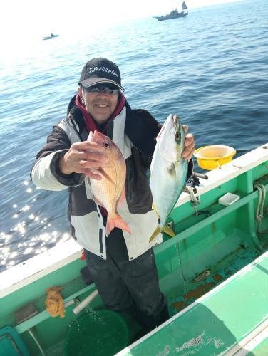 マダイ・ワラサ(ブリ)