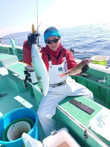 マダイ・イナダ(ブリ)