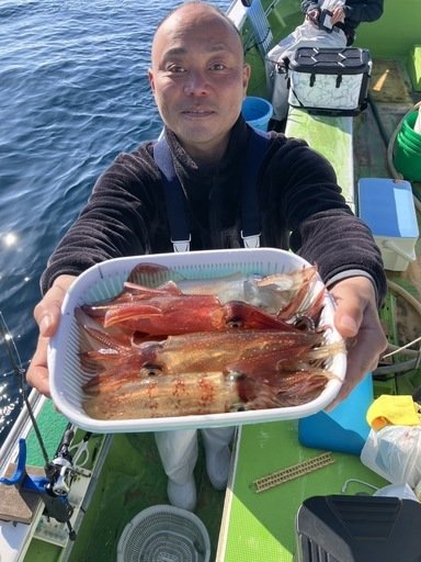 マルイカ(ケンサキイカ)