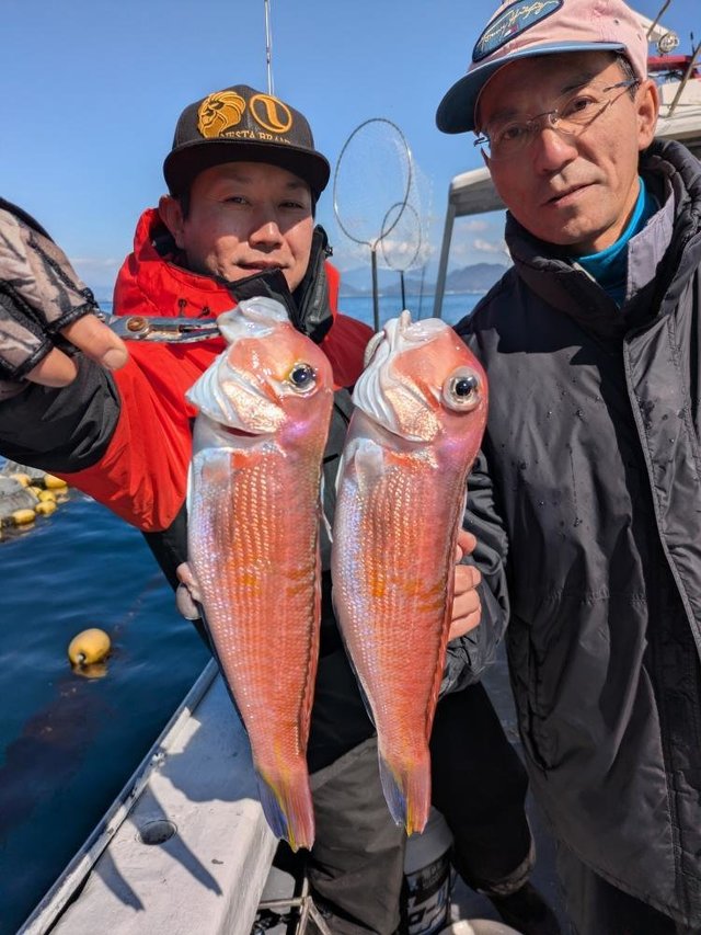 アマダイ(アカアマダイ)