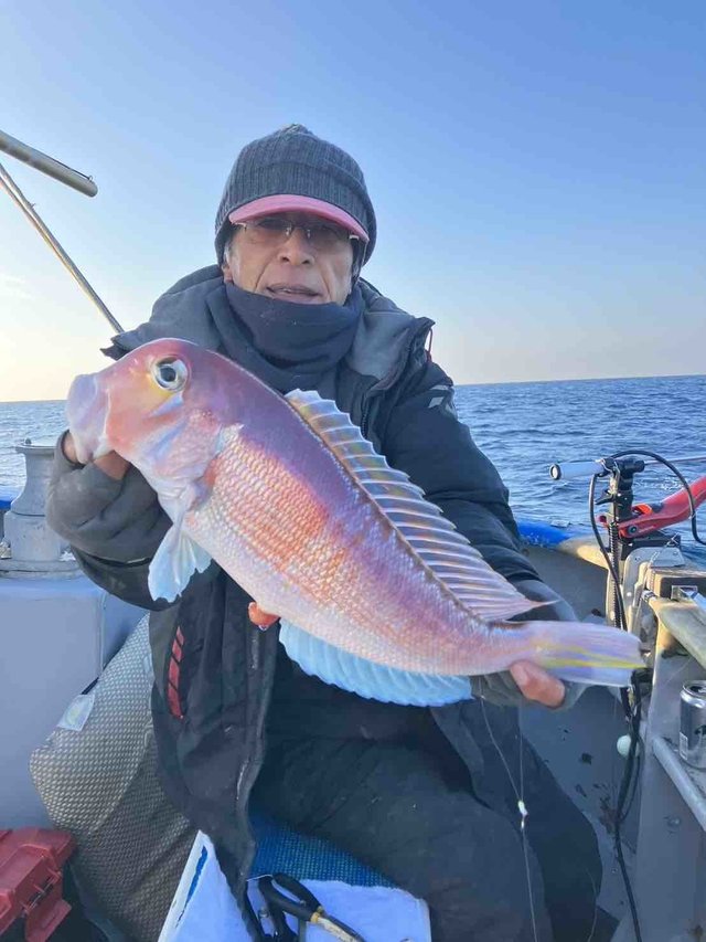 アマダイ(アカアマダイ)