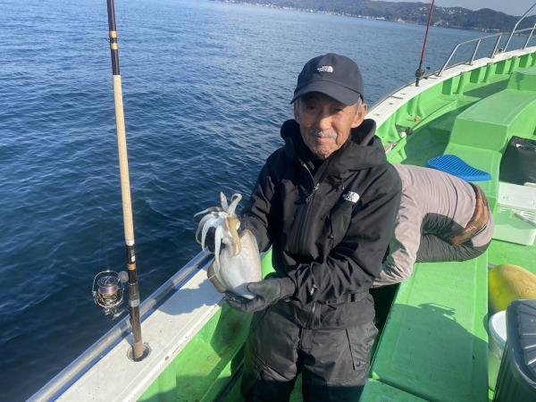 モンゴウイカ(カミナリイカ)