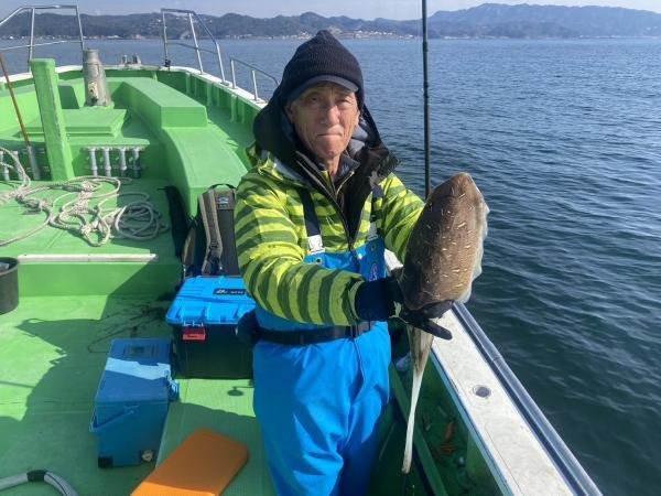 モンゴウイカ(カミナリイカ)