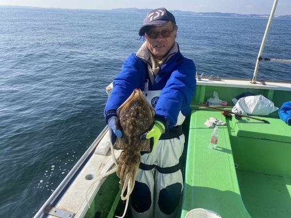 モンゴウイカ(カミナリイカ)