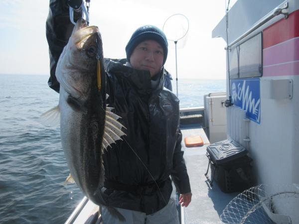 シーバス(スズキ)