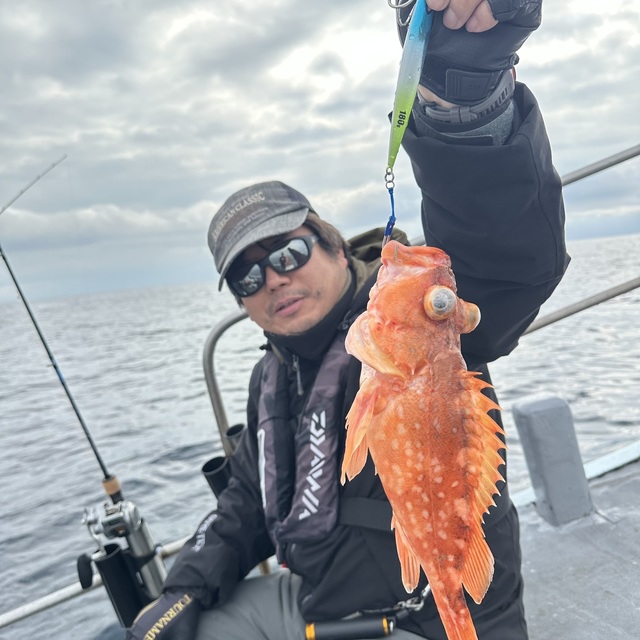 ウッカリカサゴ