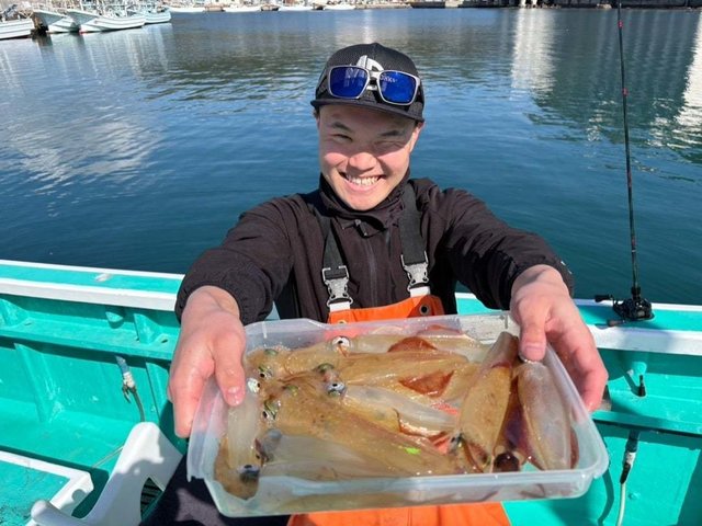 マルイカ(ケンサキイカ)