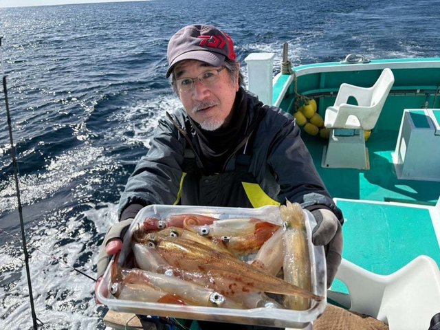 マルイカ(ケンサキイカ)