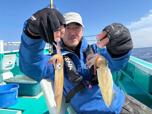 マルイカ(ケンサキイカ)・ヤリイカ