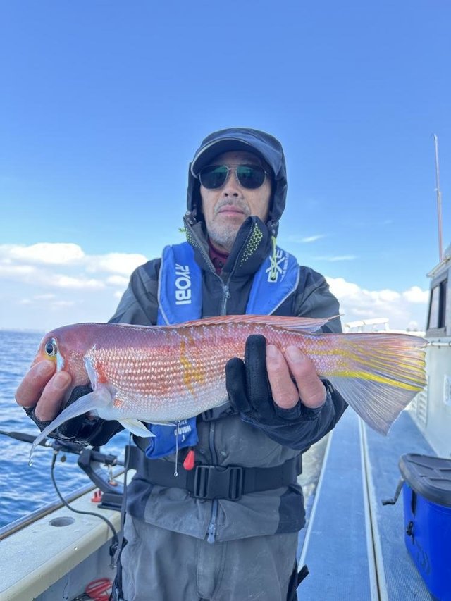 アマダイ(アカアマダイ)