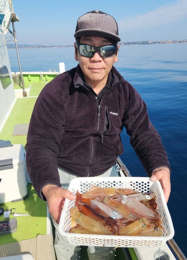 マルイカ(ケンサキイカ)