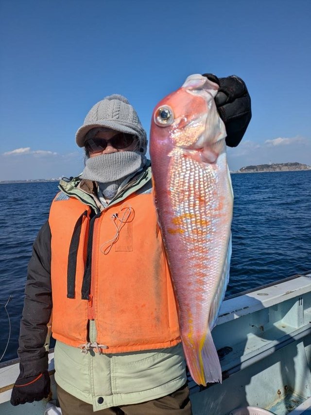 アマダイ(アカアマダイ)