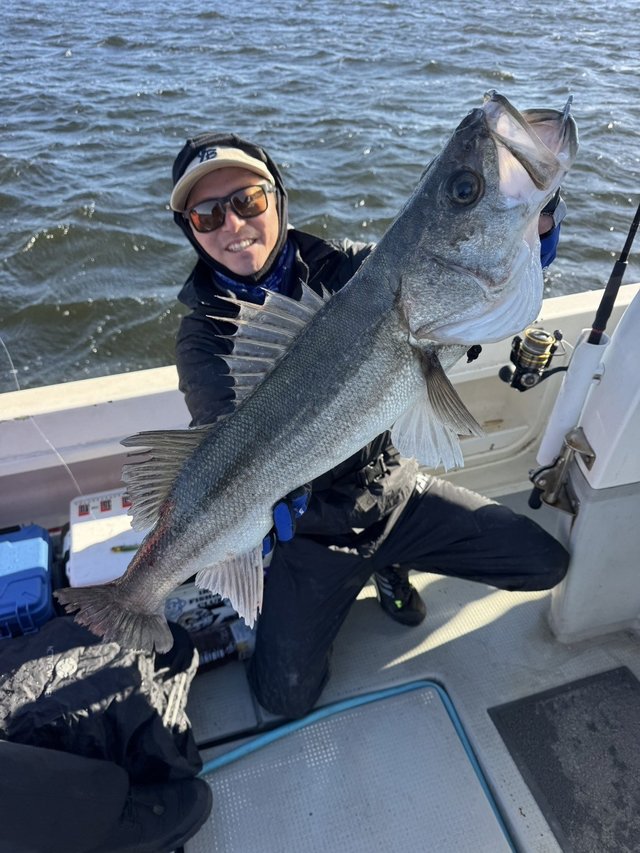 シーバス(スズキ)